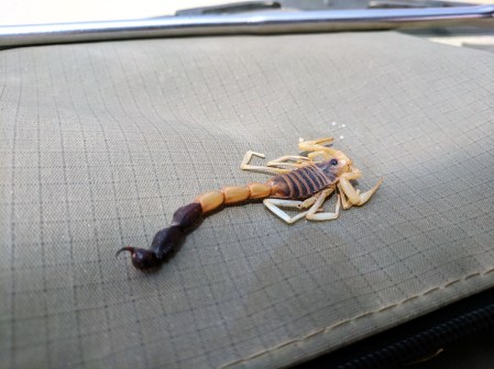 IMG_20170228_115331 (2)