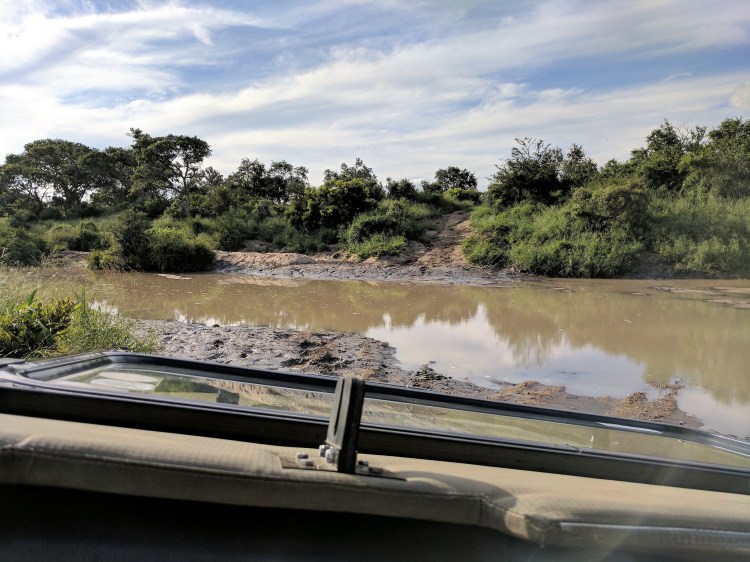 IMG_20170308_163552 (2)